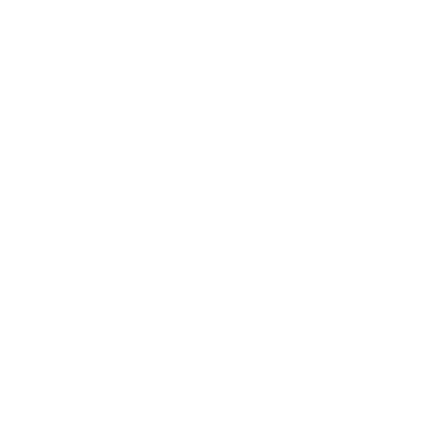 NVFF White Logo